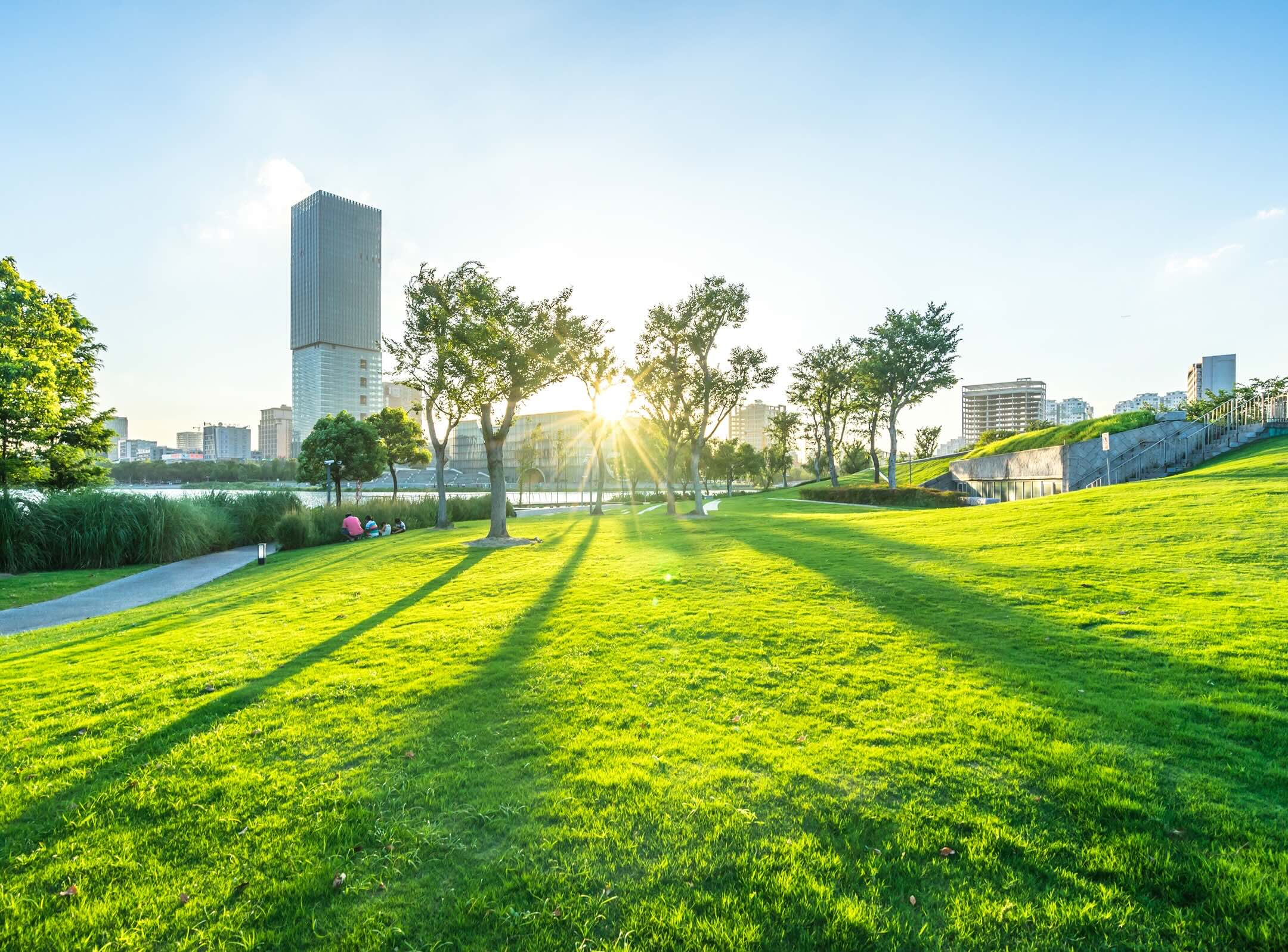 A city park with green grass, trees casting long shadows, and a tall building in the background. The sun is low in the sky, creating a bright, serene atmosphere.