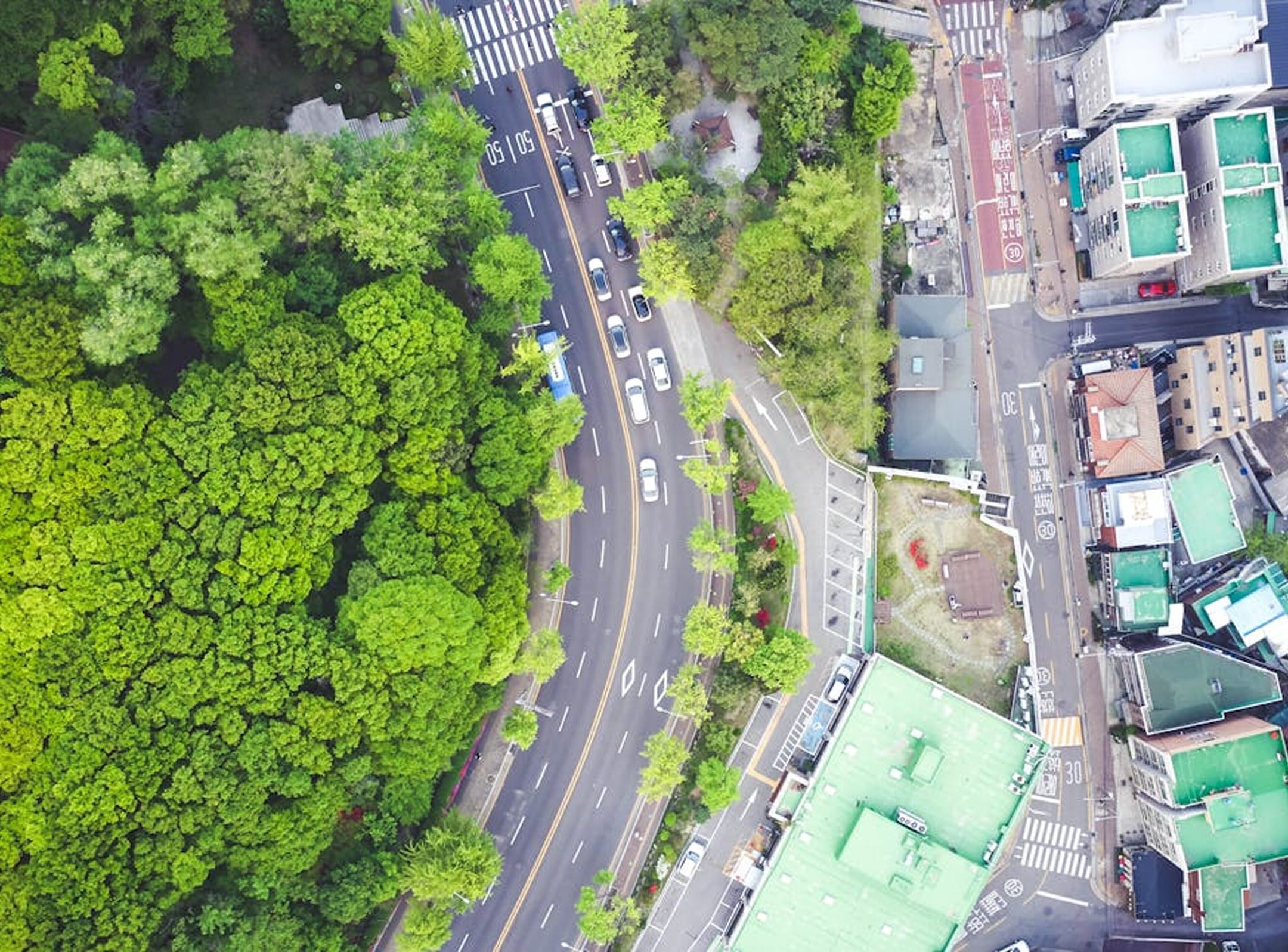 Aerial view of a curved road bordered by dense green trees on one side and buildings with green roofs on the other, with several cars visible along the street.